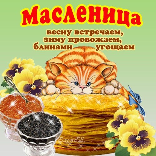 С Масленицей!.